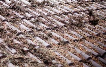 Listooder roof cleaning companies