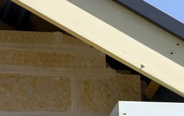 soffit repair Listooder